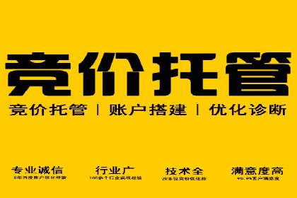SEM外包助力品牌增长案例解析